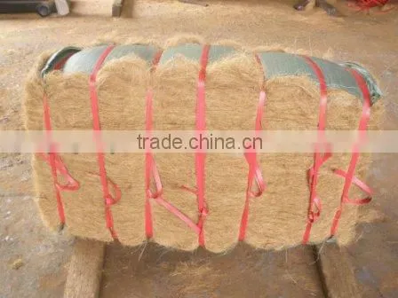 COCONUT FIBER