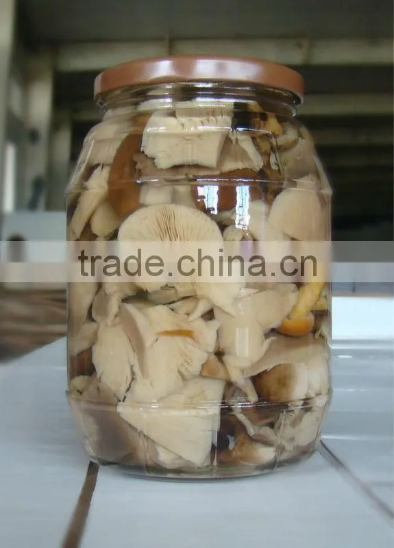 Canned Assorti Mushrooms 580ml