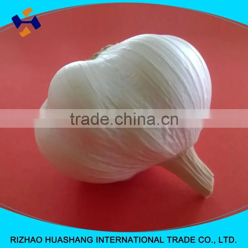 white garlic size4.0cm