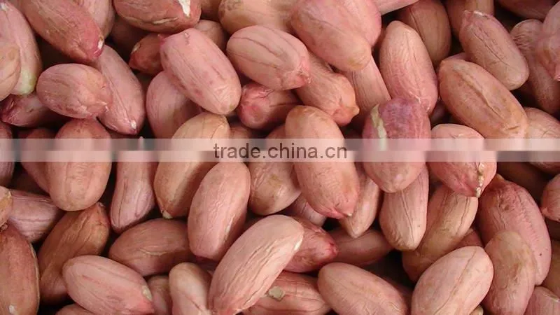 blanched peanut kernel with good quality