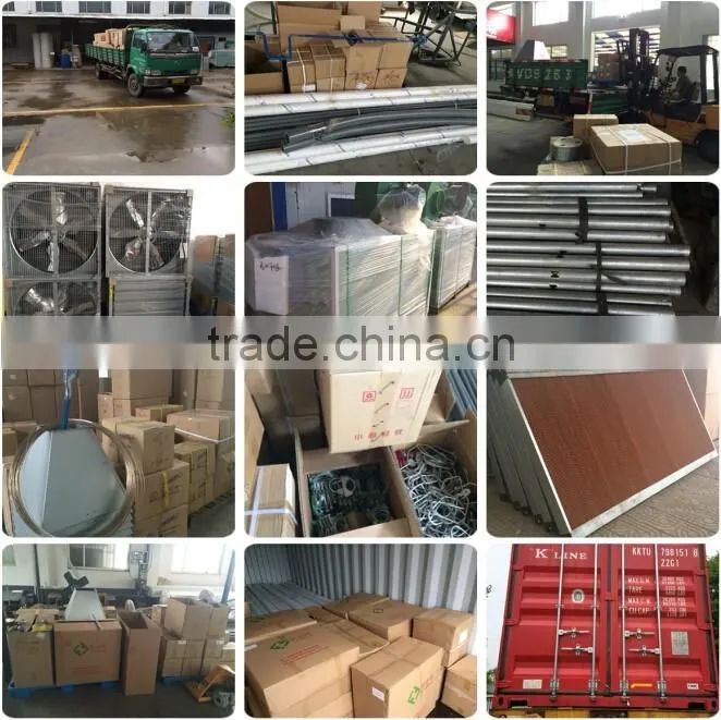 advanced design automatic farming equipment for broilers and chickens