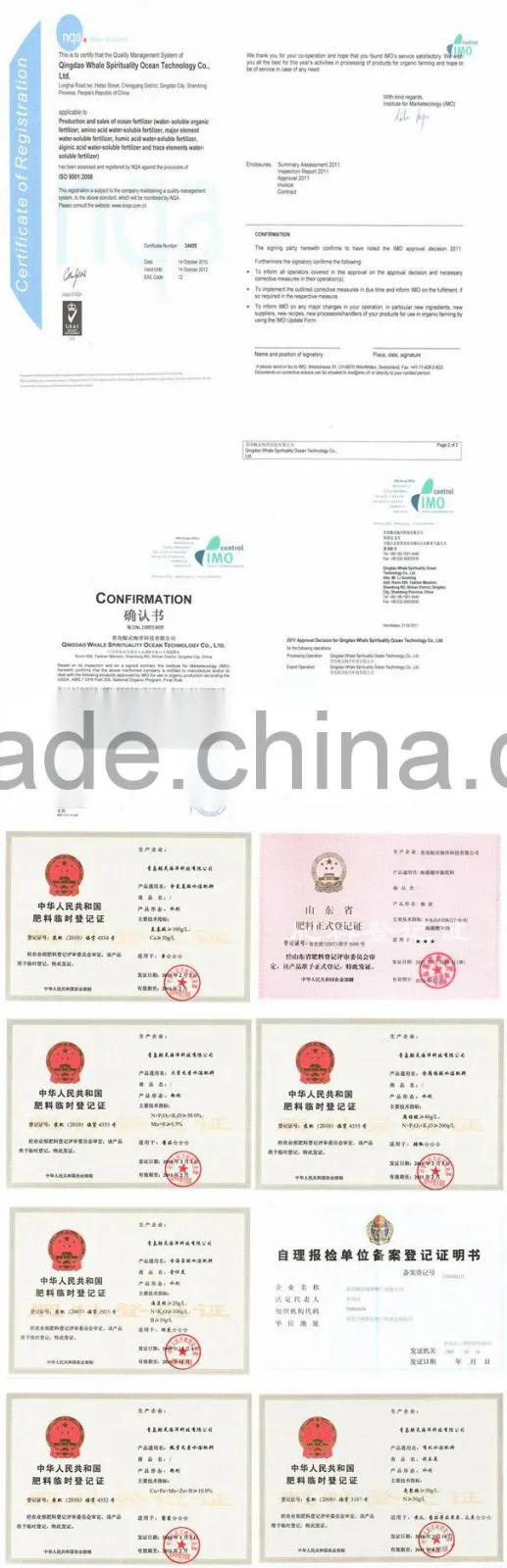ISO/IAF/IMO manufacturer chitosan chemical/cosmetic/agricultural grade powder