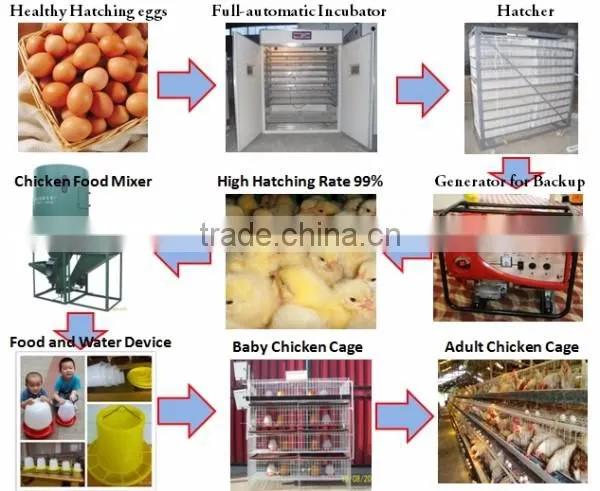 hot sale!! chicken/ eggs/duck/goose/China Incubator 88 eggs
