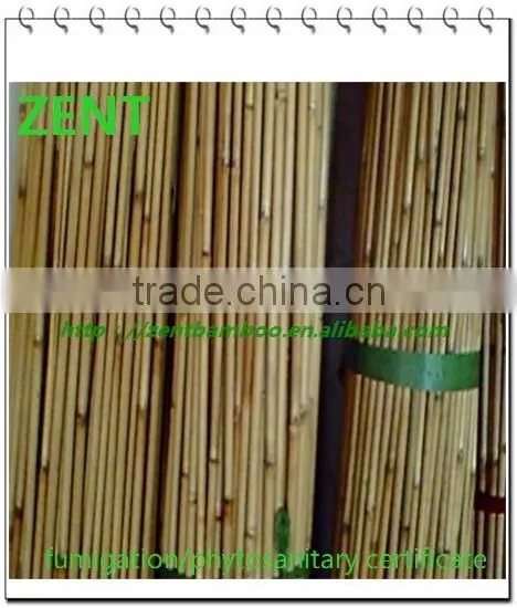 Zent -59 reed pole /bamboo pole
