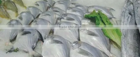 Fish Seafood Contact Plate freezer Shrimp Freezing Equipment