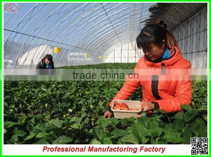 high quality/best selling arched type multi-span greenhouse for garden