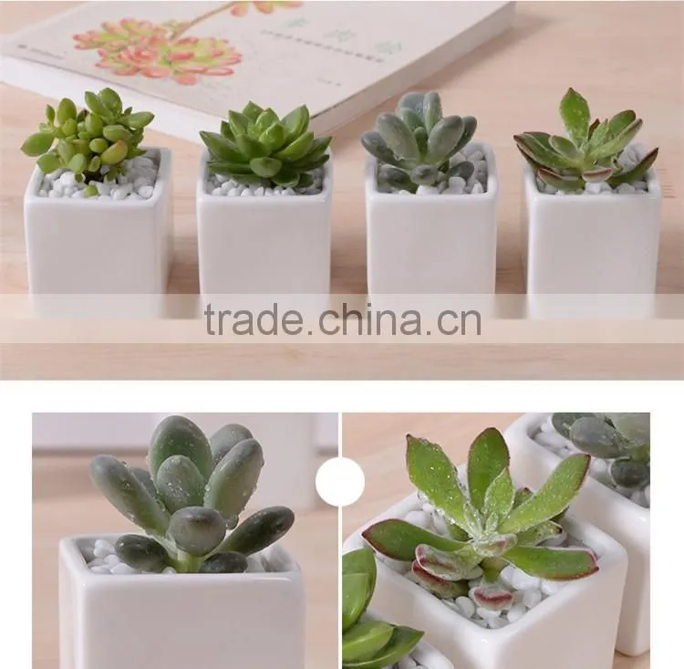 Indoor 2 inch small rectangular white ceramic planters for succulents