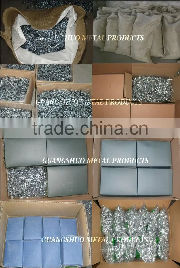 Common nails/Concrete steel nail/Roofing nail China manufacturer