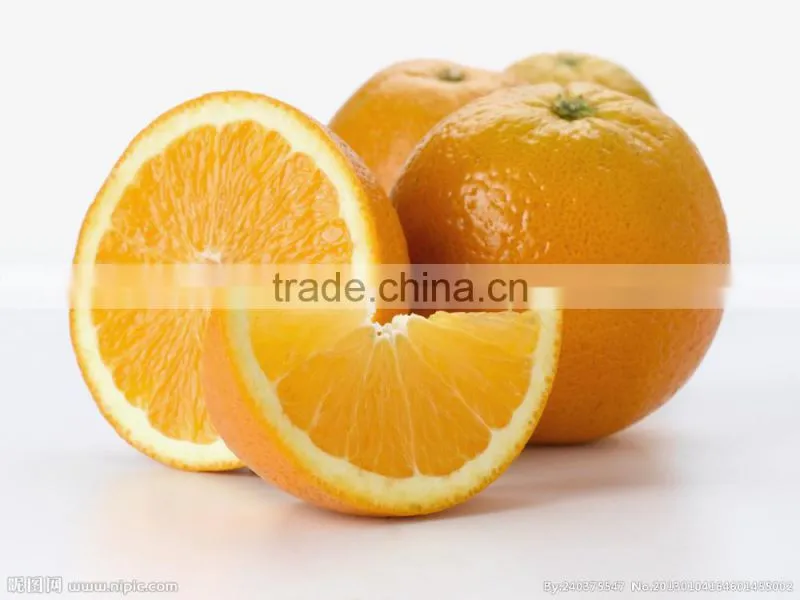 New Hot Sales Fruit Juicer Pro lemon Orange Citrus Fresh Squeeze Juicer