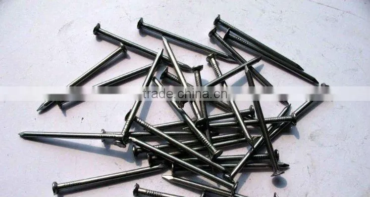 bright spike nail