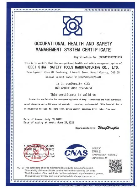 OCCUPATIONAL HEALTH AND SAFETY MANAGEMENT SYSTEM C