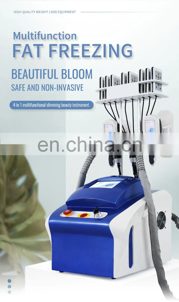 Cryo Body Shape Cryolipolysys 4 Handles 360 cryolipolyses Fat Cell Body Slimming Machine Criolipolisis