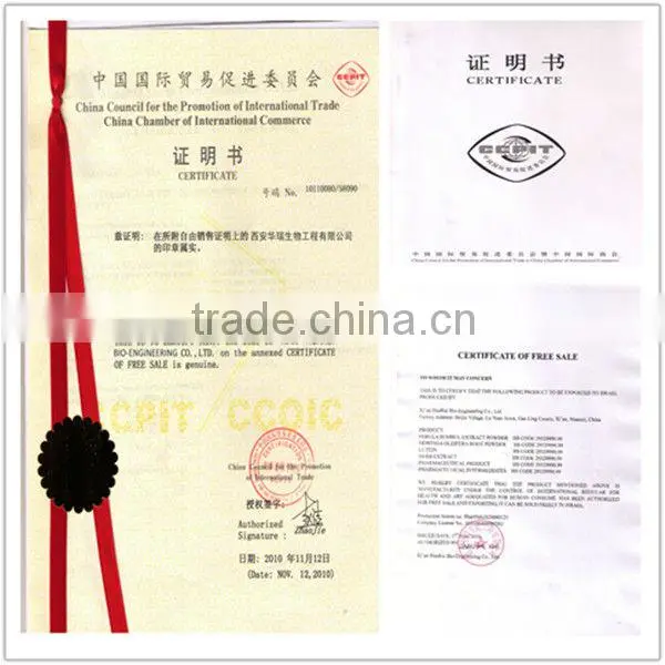 100% natural marigold extract lutein powder 10%