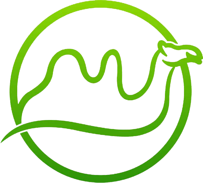 Qianqian Technology Co,.Ltd company overview - view 1