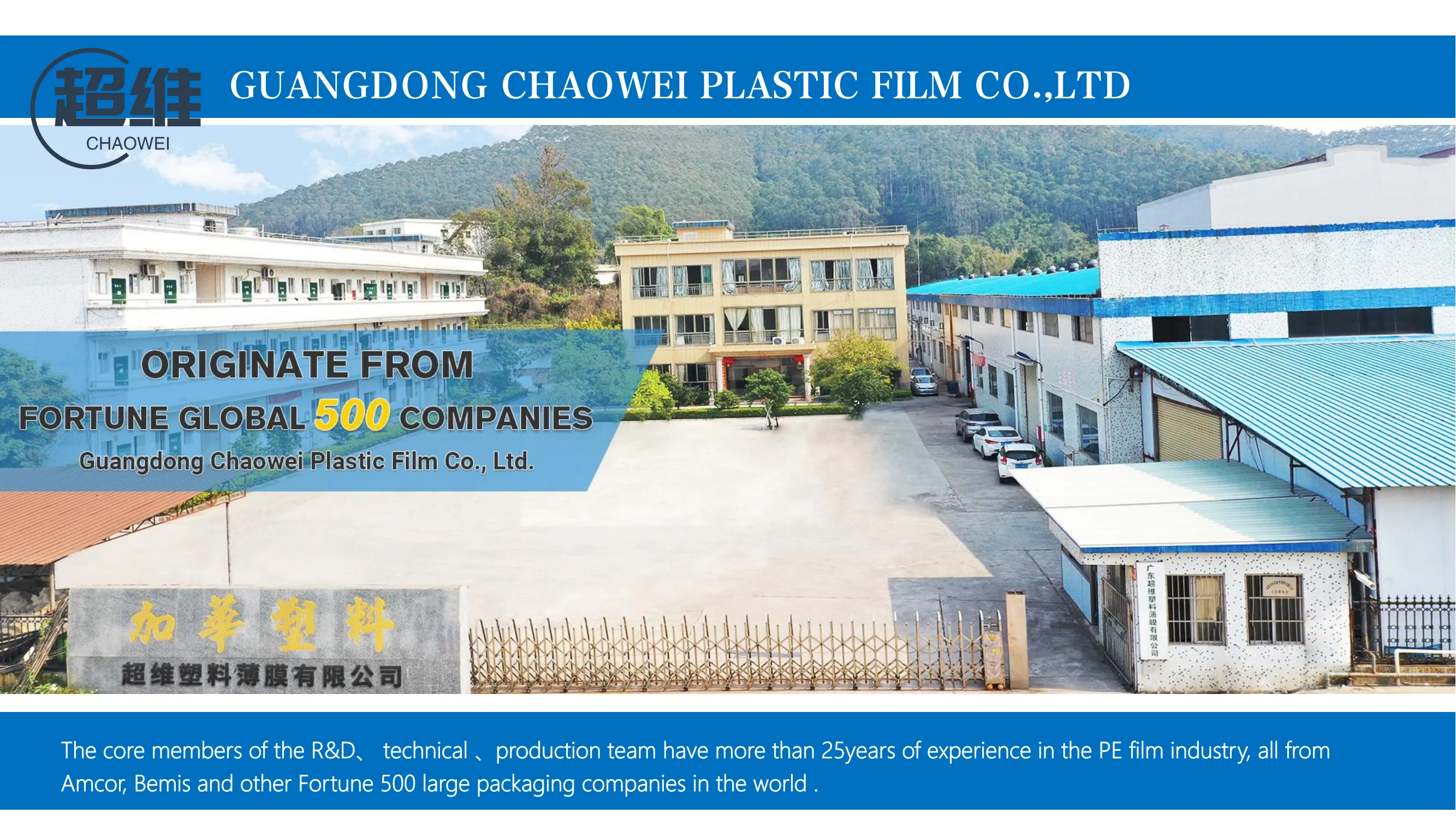 CHAOWEI Plastic Film Co.,Ltd company overview - view 1