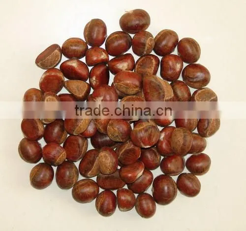 Fresh Chestnut