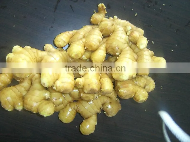 fresh yellow color ginger