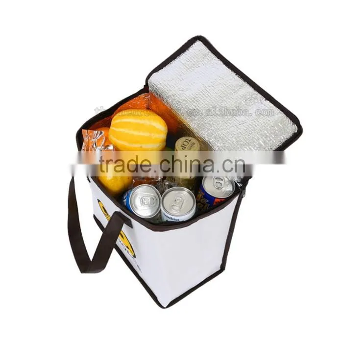 Exceptional Quality Custom Printed Logo Elegant And High End Frozen Food Soft Sided Insulated Cooler Bag