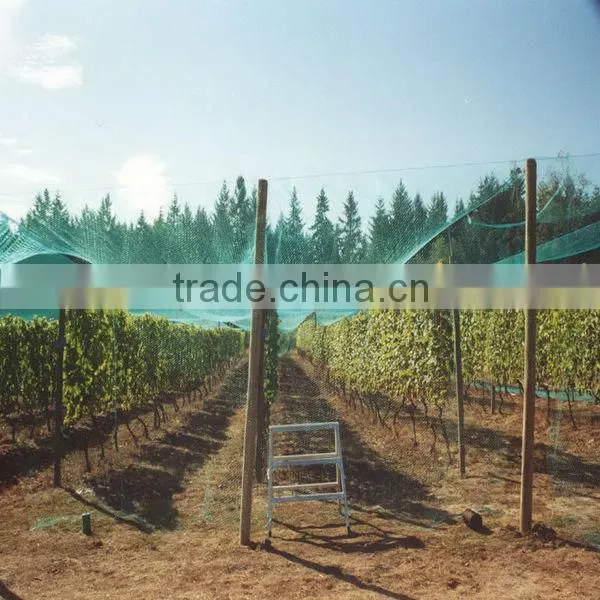 High strength anti hail mesh for agriculture