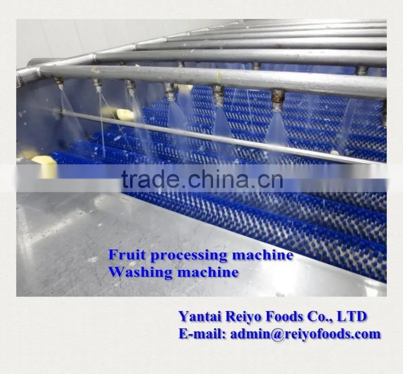 fruits and vegetables cleaning machine