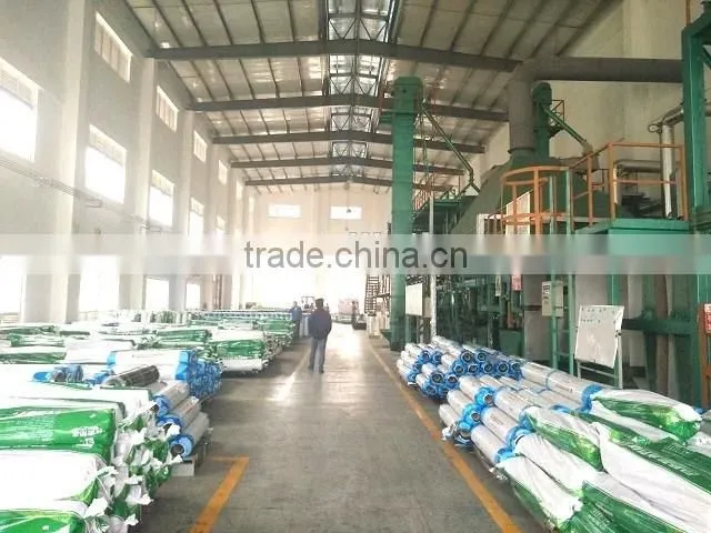 Root Puncture Resistant Modified Bituminous Waterproofing Membrane