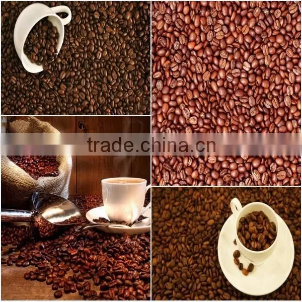 gas coffee roaster and electric coffee roaster