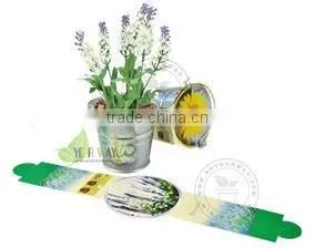 herb garden for mini watering pot