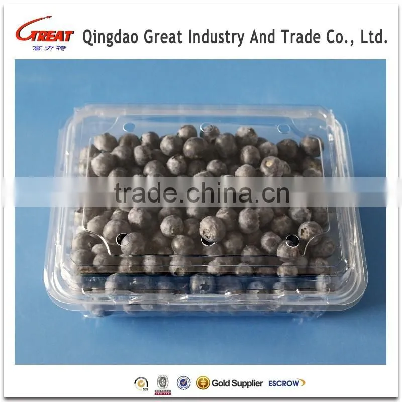 Disposable Clear Plastic Clamshell Containers for Fruit
