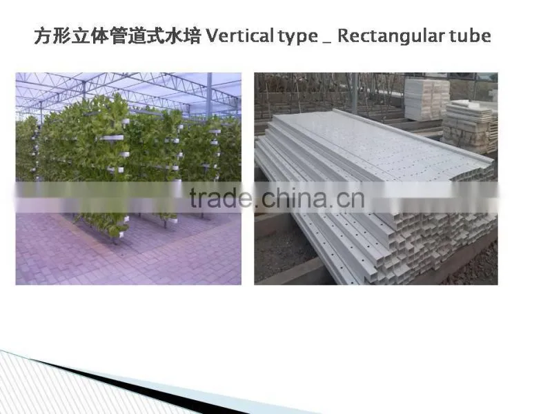 Greenhouse Hydroponics garden for vegetables