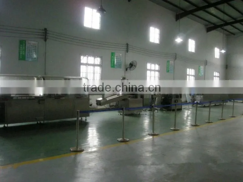 Automatic Blister Packing Machine