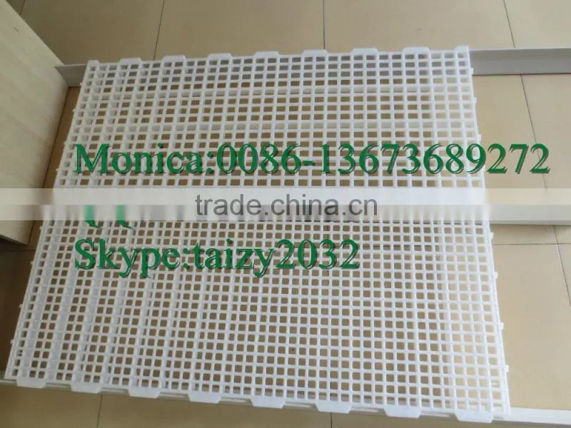 Bracket plastic animal floor for poultry rasing