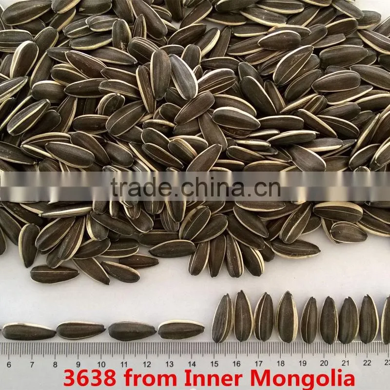 sunflower seeds 3638