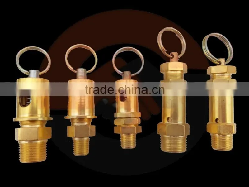 Brass spring piston check valves