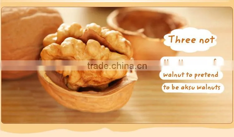 New crop dried fruit walnut