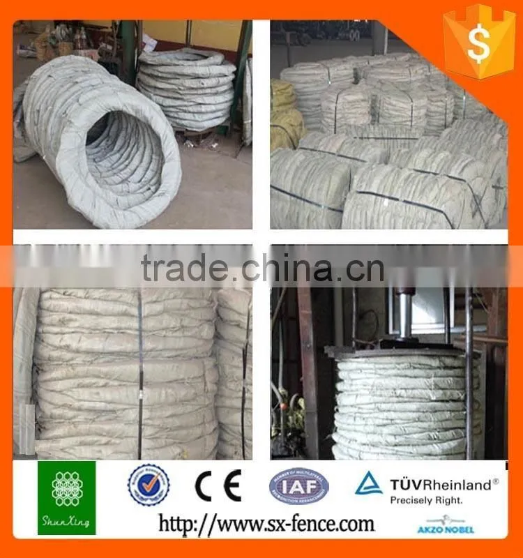 Razor Wire Prison Fence/Razor Barbed Wire Fence sale in High Quality
