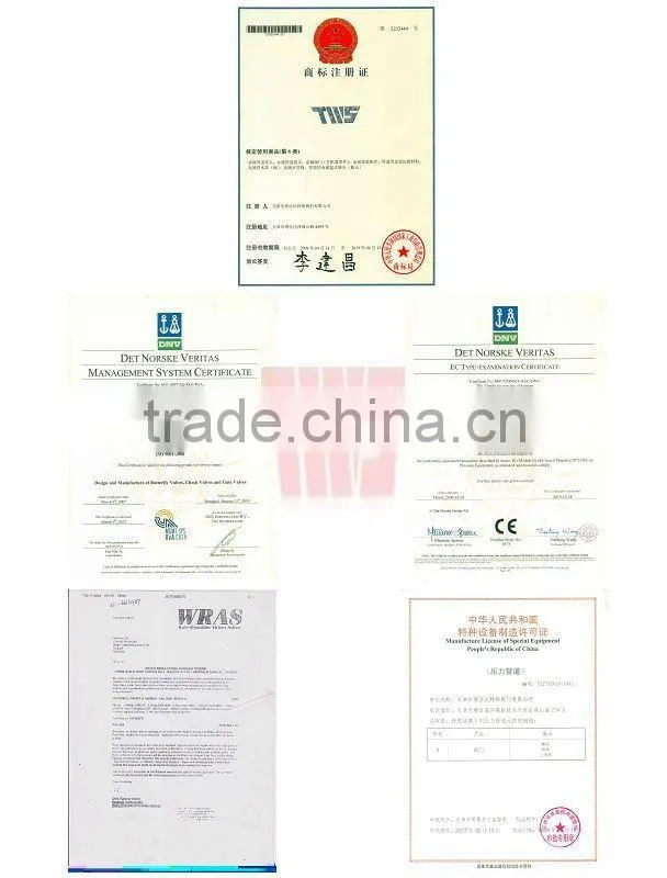DN40-DN600 PN1.0/1.6 wafer butterfly valve coated PTFE
