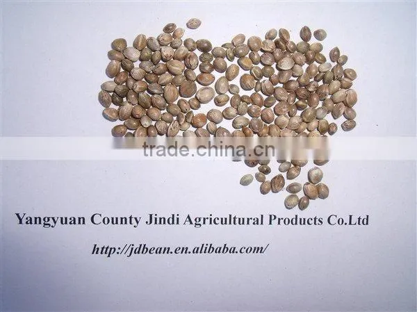 high quality hemp seeds for bird