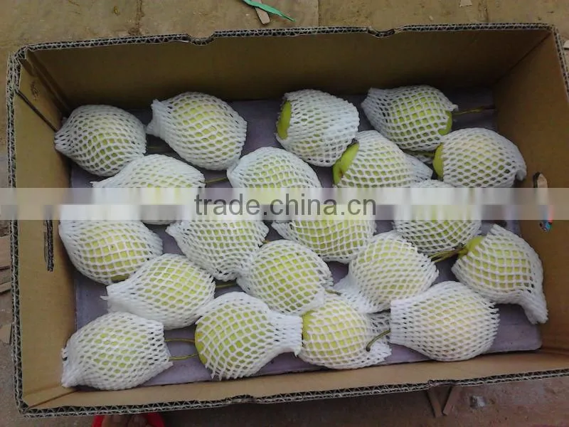 2012 shandong pear