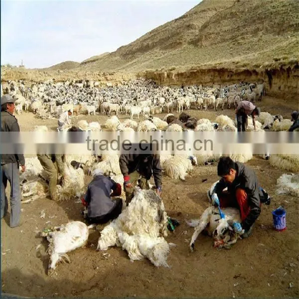 2013 hottest sale electric sheep wool shear machine/0086-13703827012