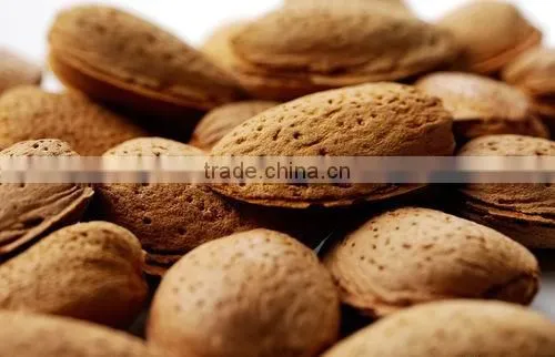 Mulitfunction Almond Cracking Machine/Almond Shell Breaker For Pistachio,Hazelnut