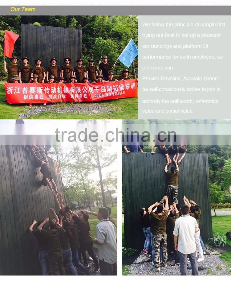 High Quality OEM Heavy Truck Drive Shaft Yoke