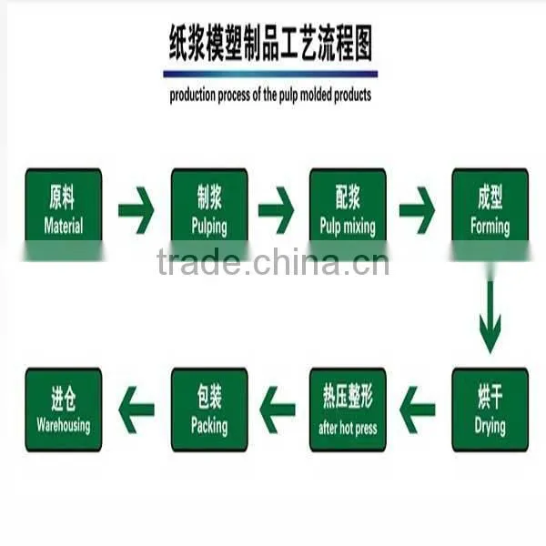 12 holes pulp disposable egg carton