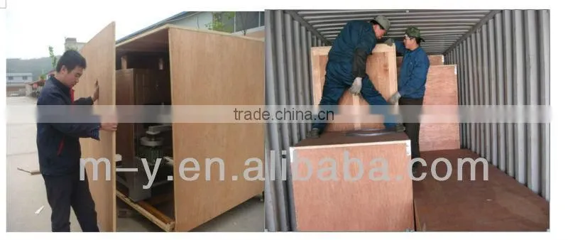 CE Certification blanched peanut production line
