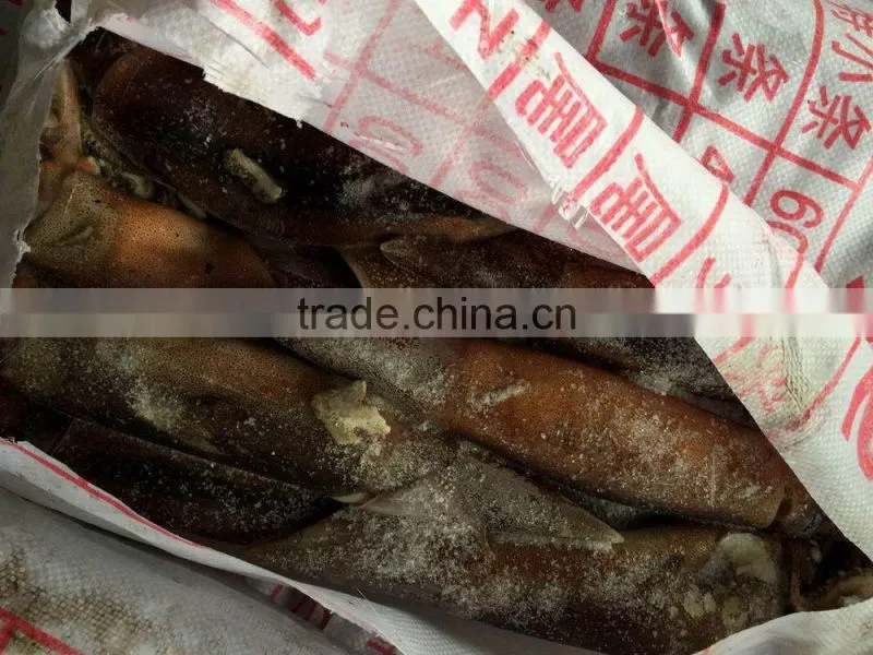 Agrentinus Squid Frozen 400g/600g whole round