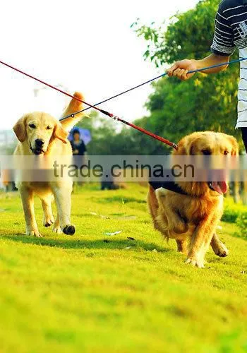 Plush pet toy for dog with squeaker