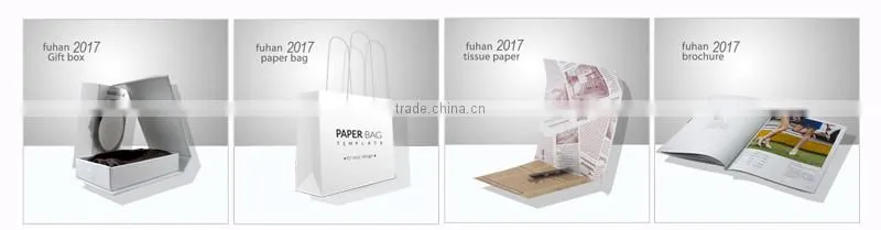 Custom Beautiful Shopping Paper Bag for Costume