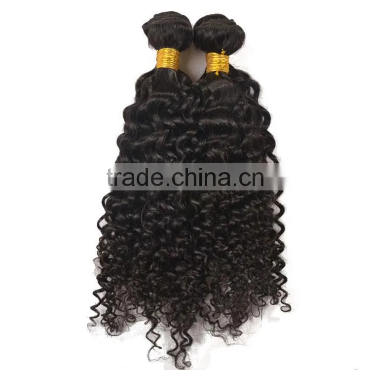 7A Grade Unprocessed Virgin Malaysian Curly Hair