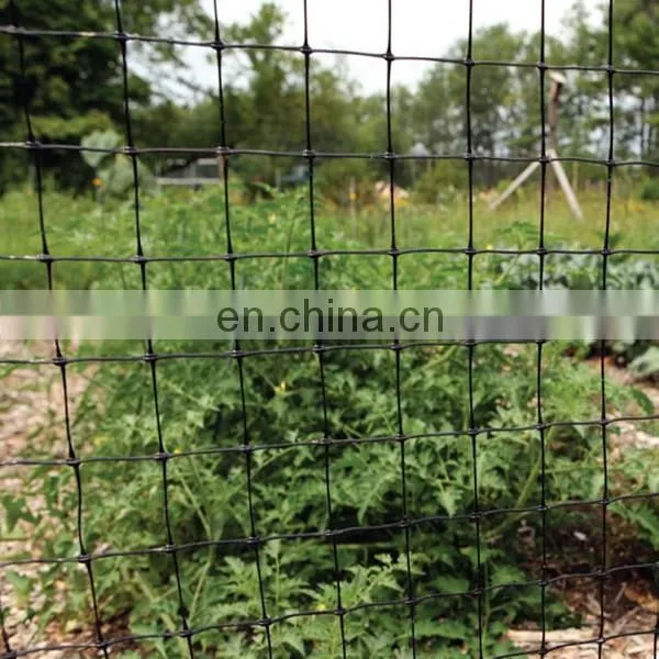 Plastic Net / PE Poultry Net/ PE Deer Net