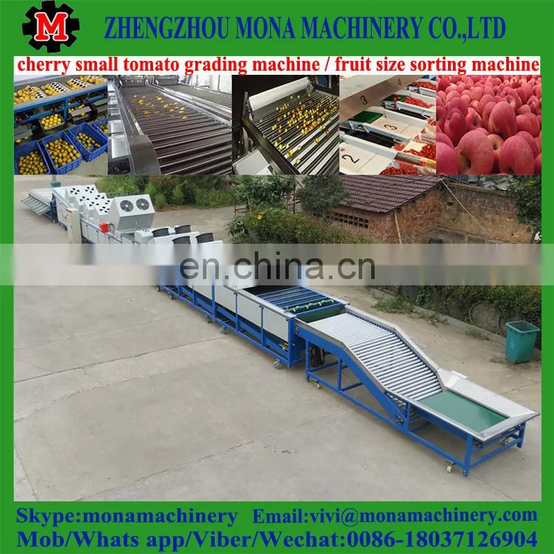 size fruit sorting machine by fruit diameter / small size high speed fruit grading machine