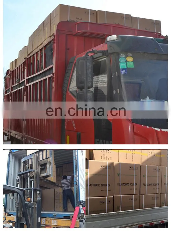 Chicken, Reptile, Bird, Emu, Ostrich, Duck Usage Egg Incubator and Hatcher